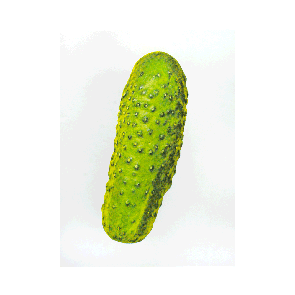 Risography Artprint Pickle