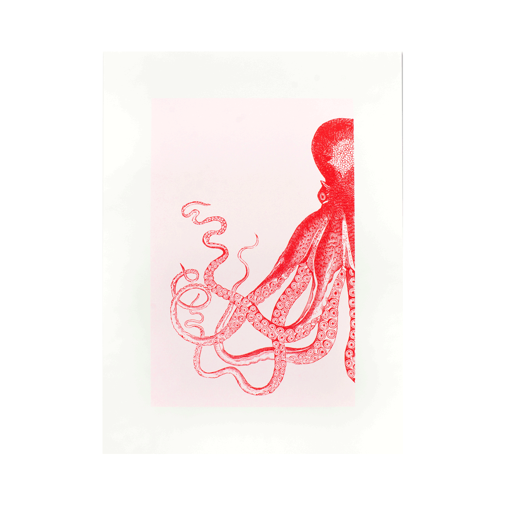 Risography Artprint Octopus