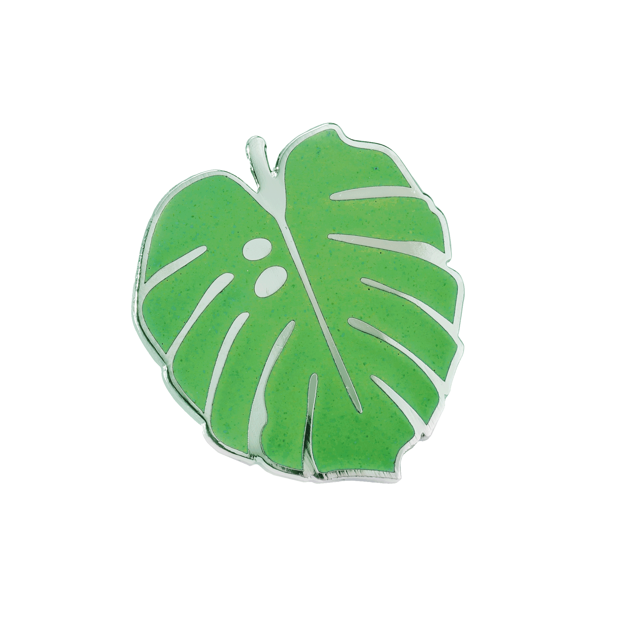 Pintastic Little Monstera